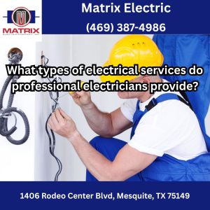 What types of electrical services do professional electricians provide?